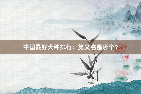 中国最好犬种排行：第又名是哪个？