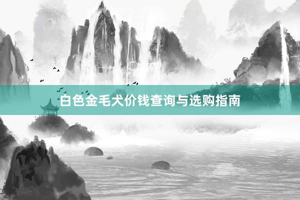 白色金毛犬价钱查询与选购指南