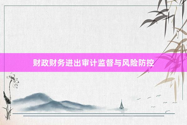 财政财务进出审计监督与风险防控