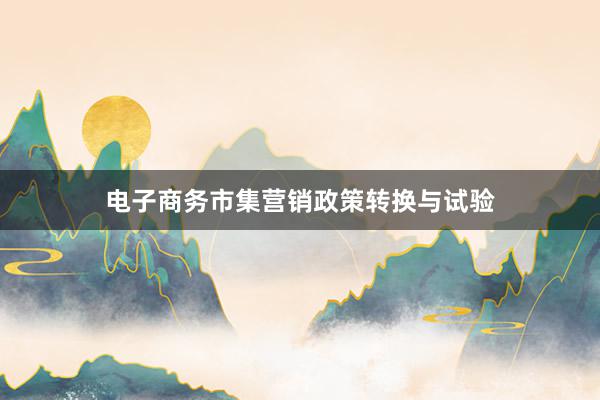 电子商务市集营销政策转换与试验